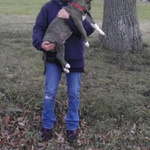 Meet your Posher, Edye